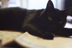 新聞は…