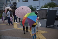 秋雨の中の華