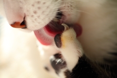 指の股まで