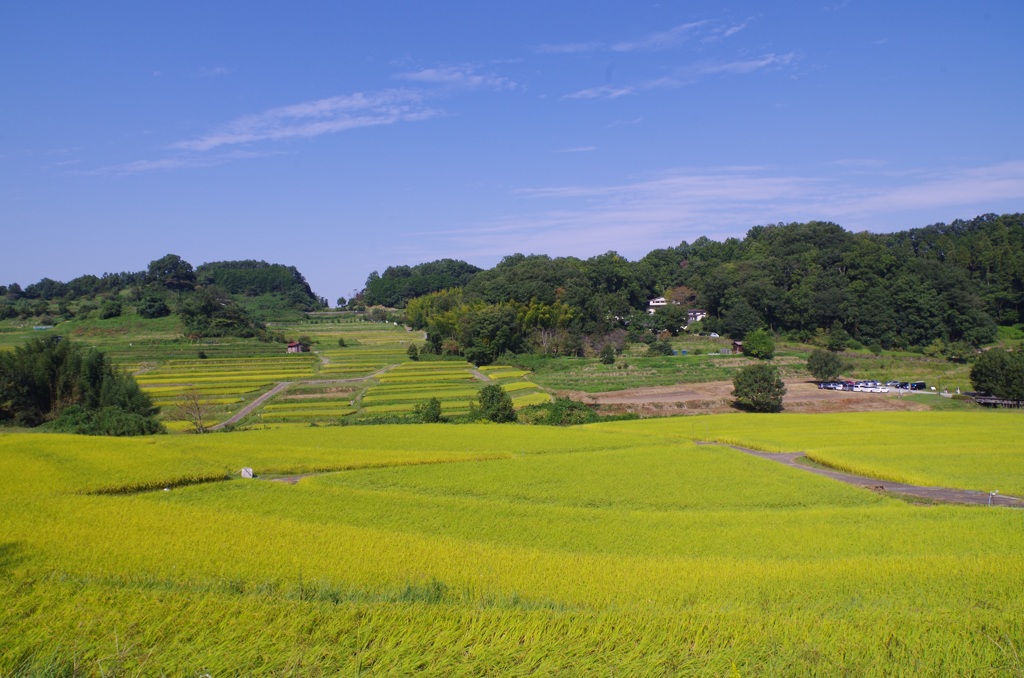 ここは日本