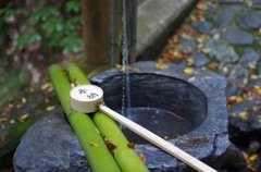秋を添えて
