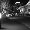 夜のお散歩