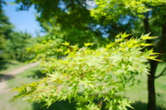 DSC05408