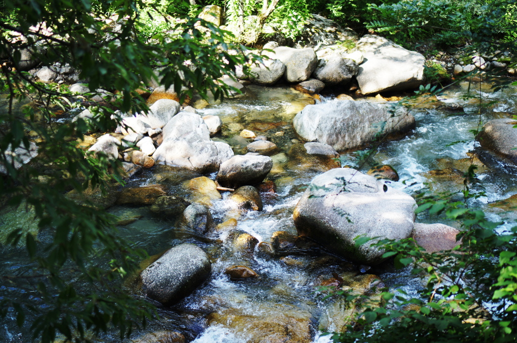DSC05469