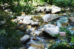 DSC05469