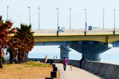 DSC04400