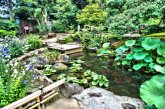 鎌倉 (1)