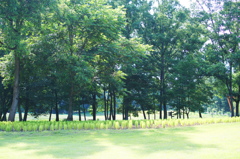 DSC05449