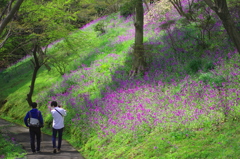 お出迎え