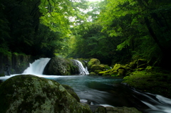 菊池の渓流