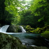 菊池の渓流