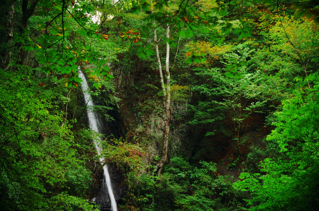 白糸の滝2