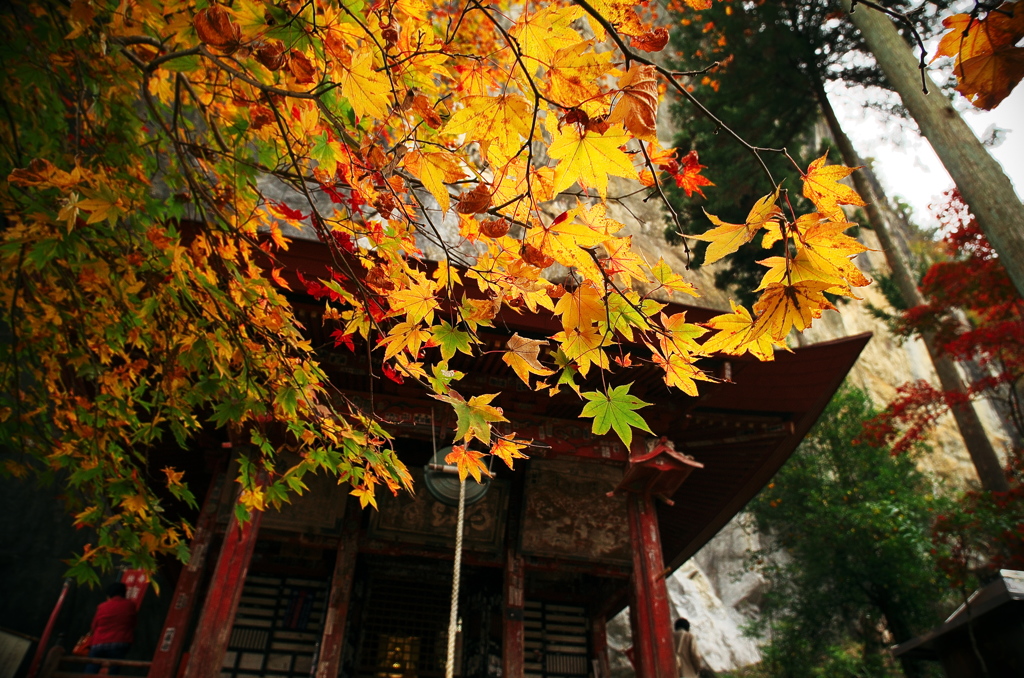 橋立寺