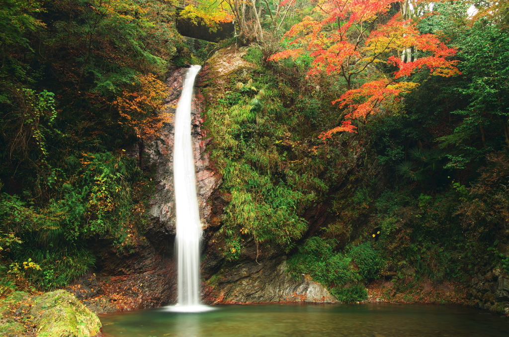 秩父華厳の滝