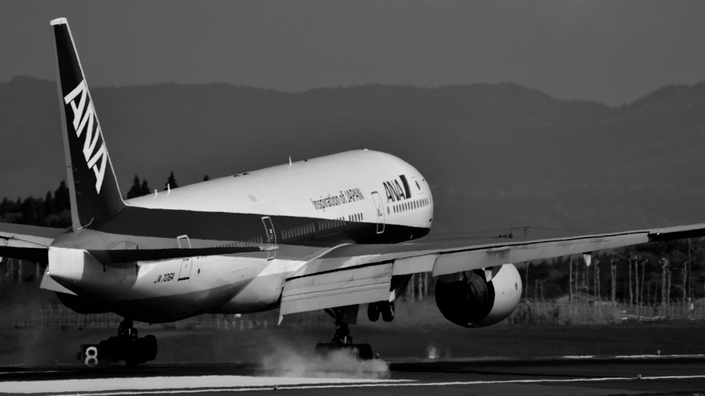 Monochrome Touchdown !
