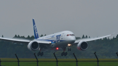 Vapour Wing