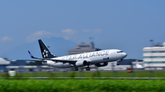STAR ALLIANCE mini