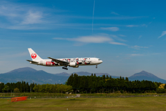 すっかり初夏です・・・