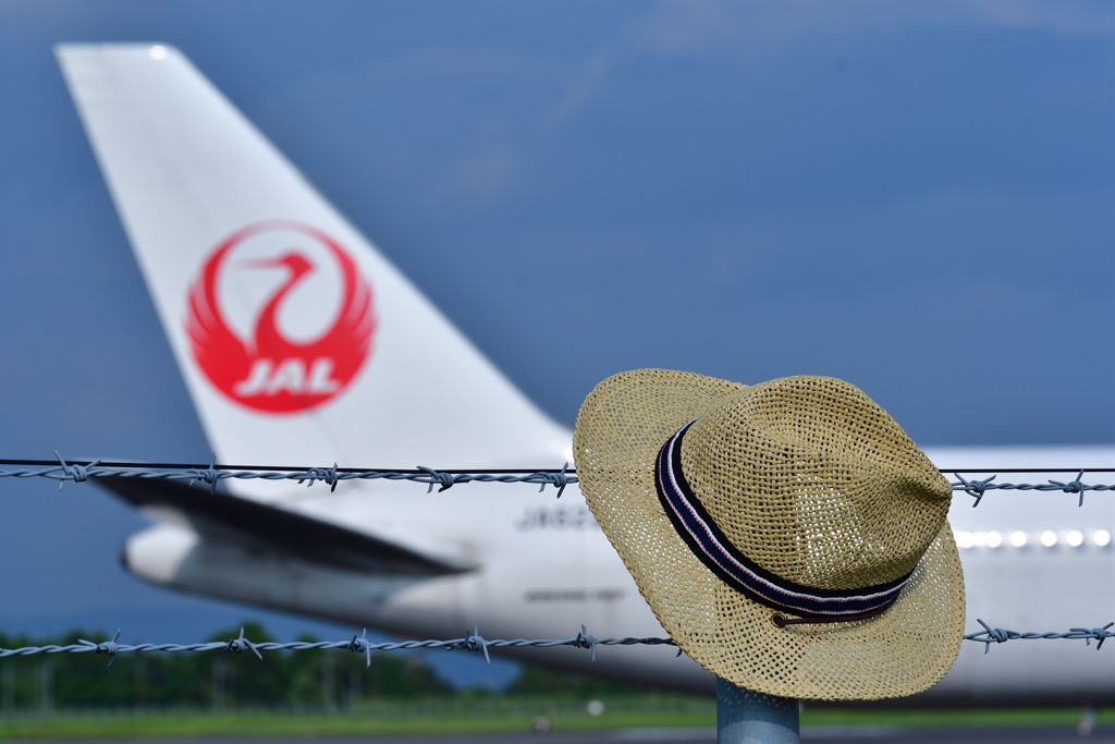 むぎわら & JAL ^^/