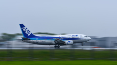 雨のLANDING! うまいね～^^