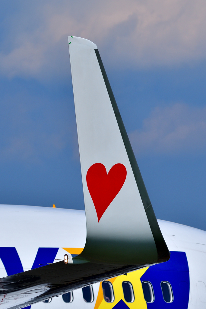 The Wing ♥♥♥