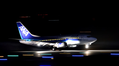 Dolphin Landing in Night