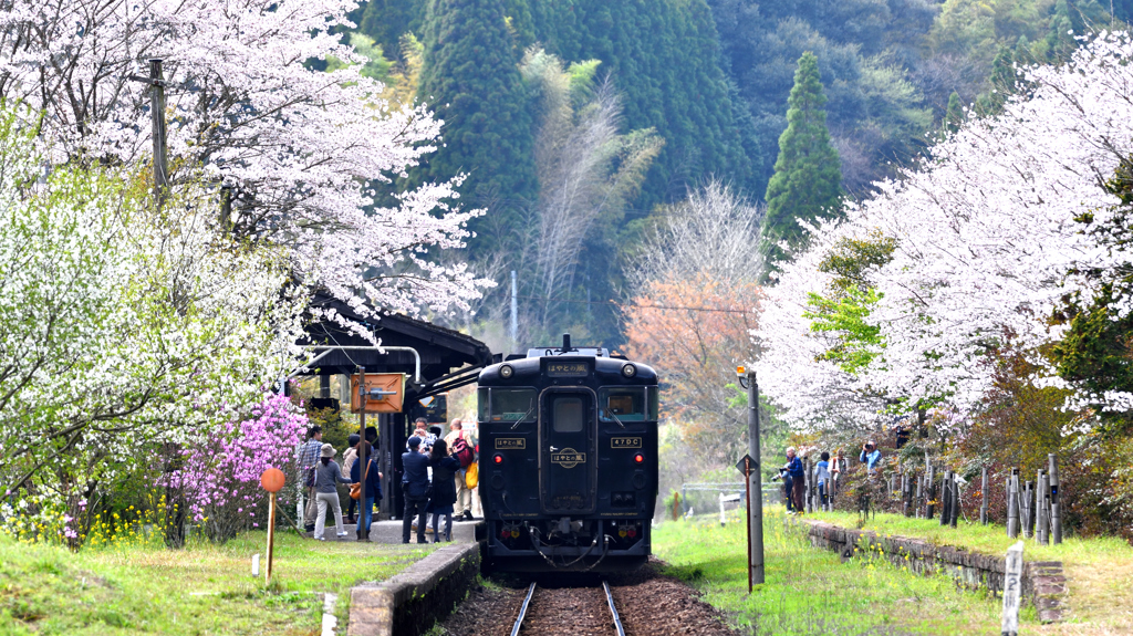 KAREIGAWA in SPRING