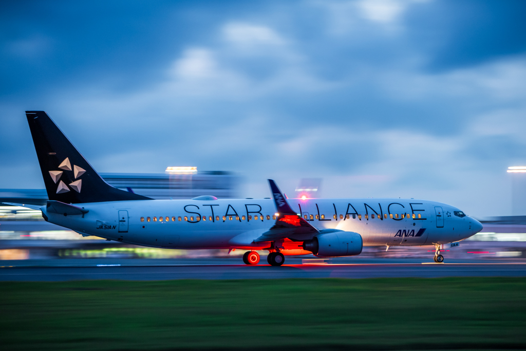 STAR ALLIANCE of the NIGHT