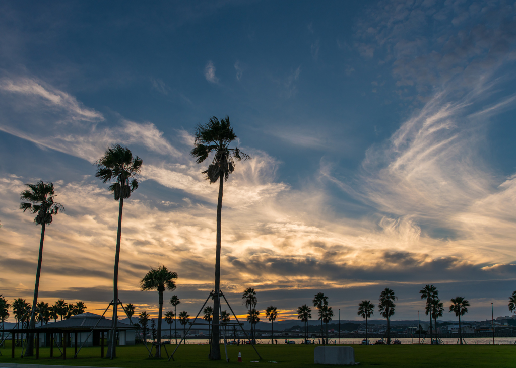 Dramatic Sunset