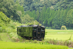 緑の中を駆け抜ける・・・