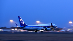 Blue All Nippon Landing !