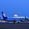 Blue All Nippon Landing !
