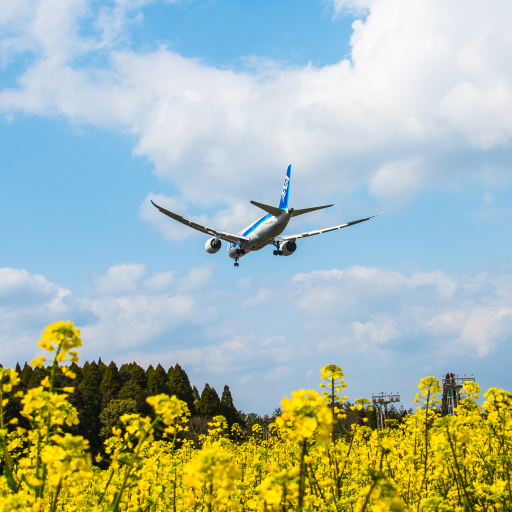 春・・・Final Approach