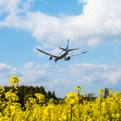 春・・・Final Approach