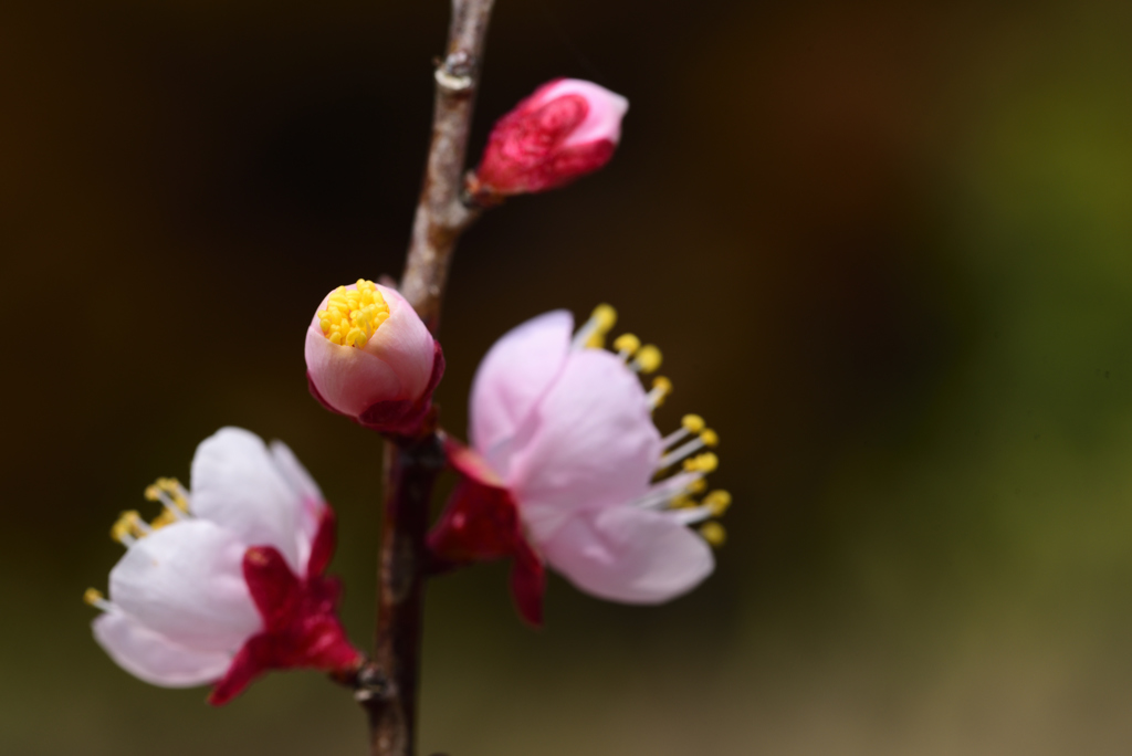 明日への希望・・・