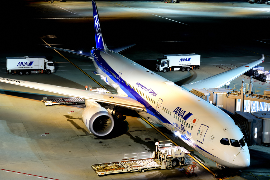 ANA's 50th 787