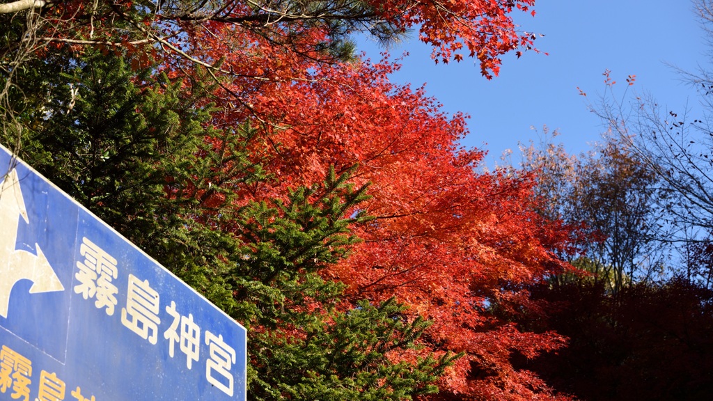 紅葉 in 霧島