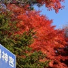 紅葉 in 霧島