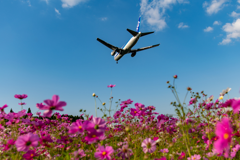 秋空