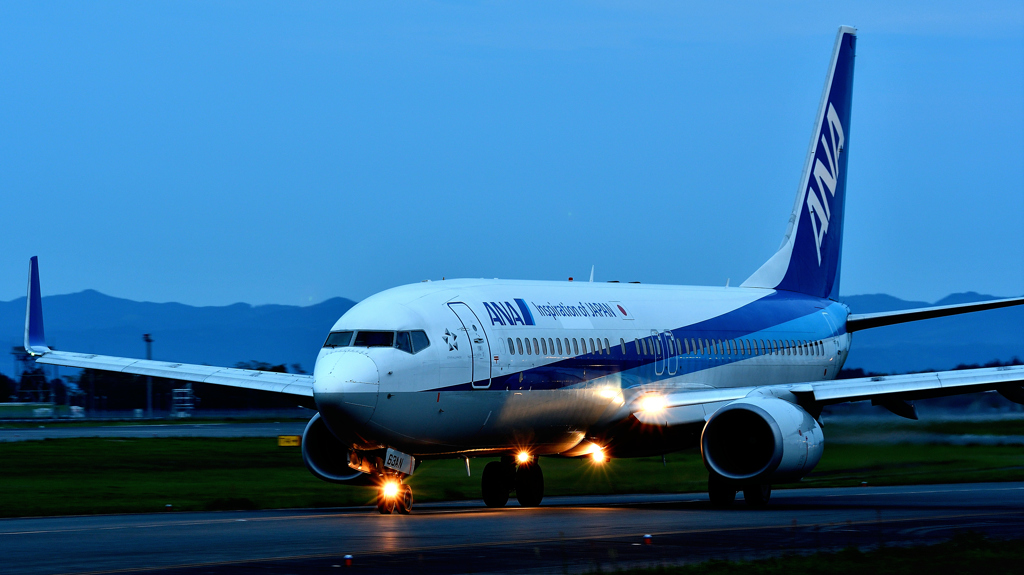 Dramatic Blue Wing