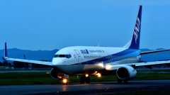 Dramatic Blue Wing