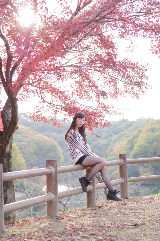 IMGP2708