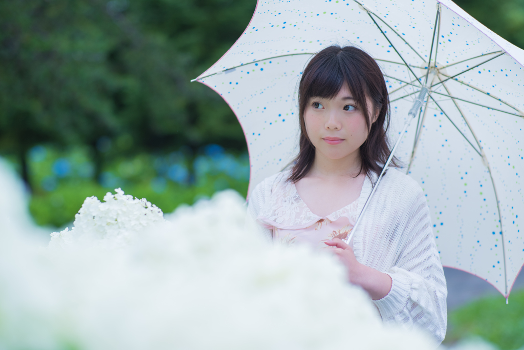 雨の日
