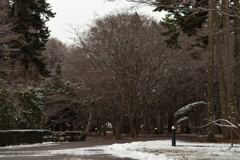 冬の公園