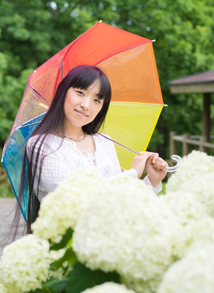 紫陽花と彼女 sono2