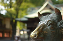 神社の守神