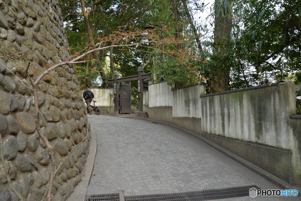 路の先にあるものは