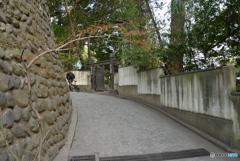 路の先にあるものは