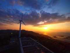 夕日と風車