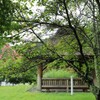 夏の終わりの庭園